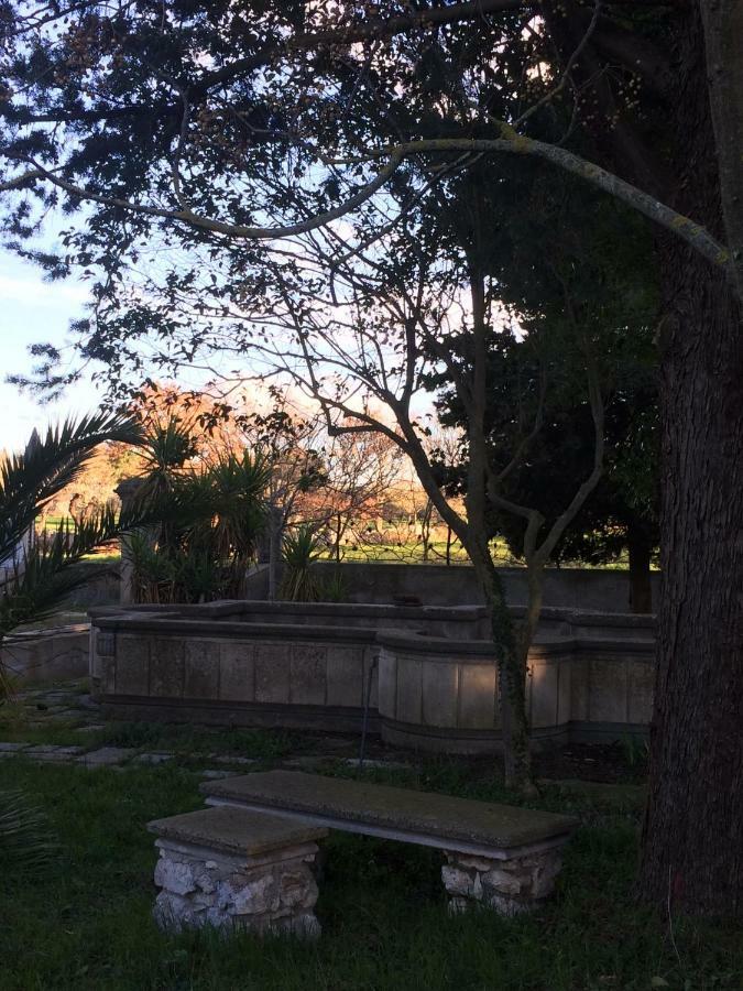 Villa L'Ottagono Con Cucina Parcheggio Privato Telecamerizzato E Wifi Gioia Del Colle Extérieur photo