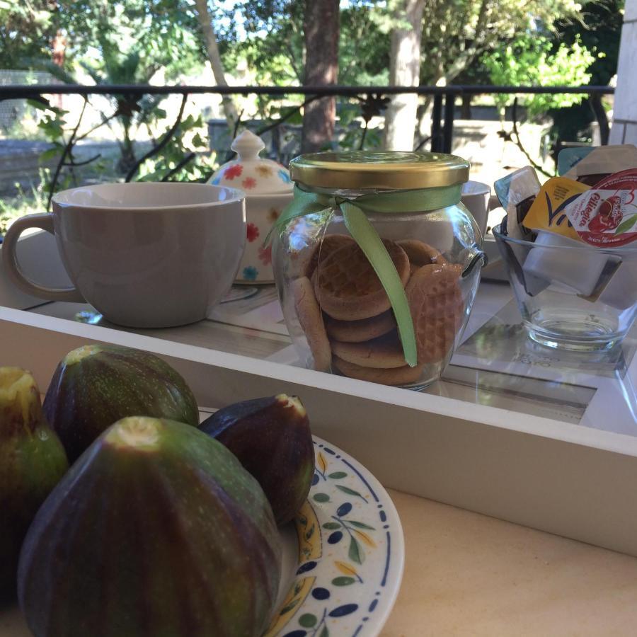 Villa L'Ottagono Con Cucina Parcheggio Privato Telecamerizzato E Wifi Gioia Del Colle Extérieur photo